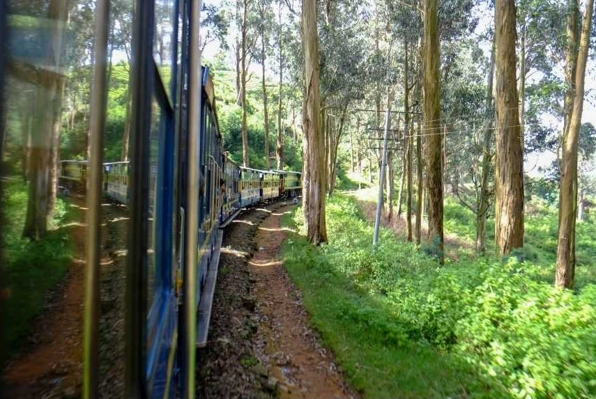 Nilgiri